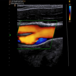 Diagnostic center in Padmanabhanagar